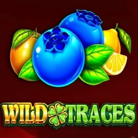 Wild Traces slot logo by Amusnet Interactive at X3bet casino